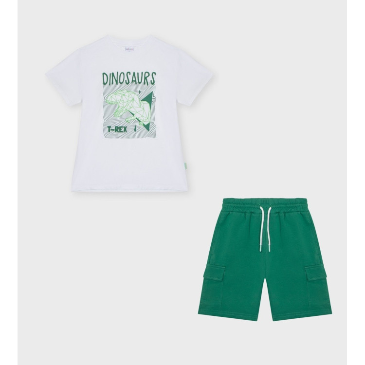 Conjunto dinossauro Conjunto dinossauro