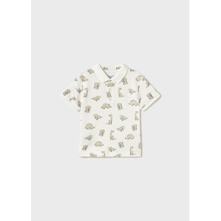 Polo dinossauros