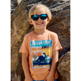 T-shirt relevos dinossauro