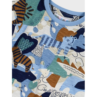 Conjunto t-shirt e calção