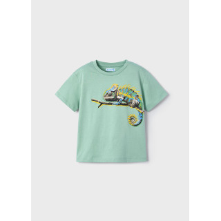 T-shirt camaleão menino