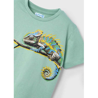 T-shirt camaleão menino