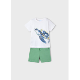 Conjunto bermuda e t-shirt menino