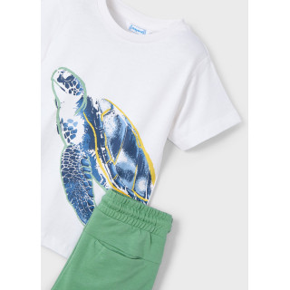 Conjunto bermuda e t-shirt menino Conjunto bermuda e t-shirt menino