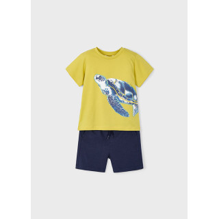 Conjunto bermuda e t-shirt menino