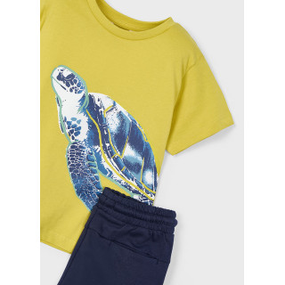 Conjunto bermuda e t-shirt menino