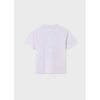 T-shirt paisagem rapaz T-shirt paisagem rapaz