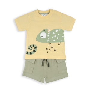 Conjunto camaleão